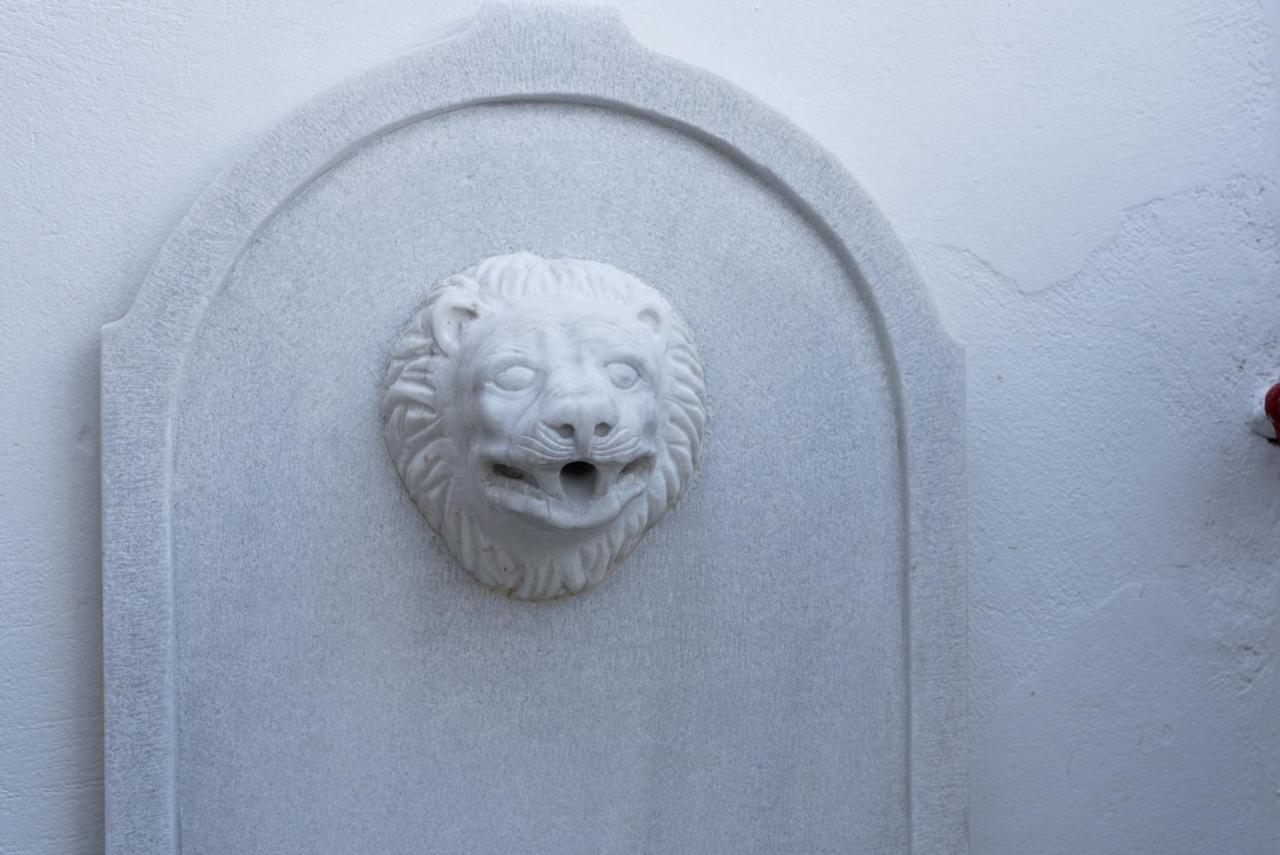 Villa Hermes In Anafiotika Athens ! エクステリア 写真
